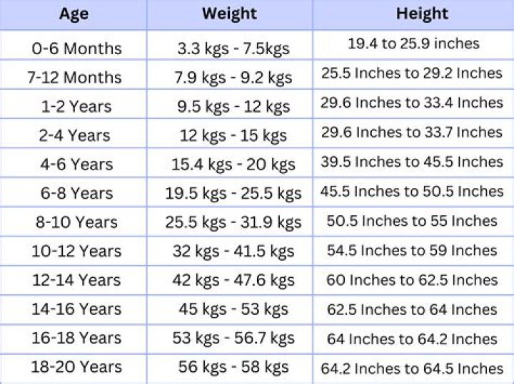A Look At His Height, Weight, Age, Spouse, And Children