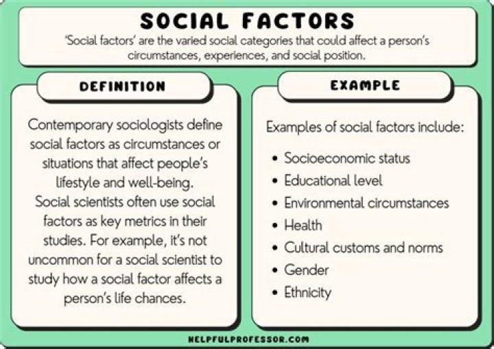 Exploring The Factors And Societal Implications